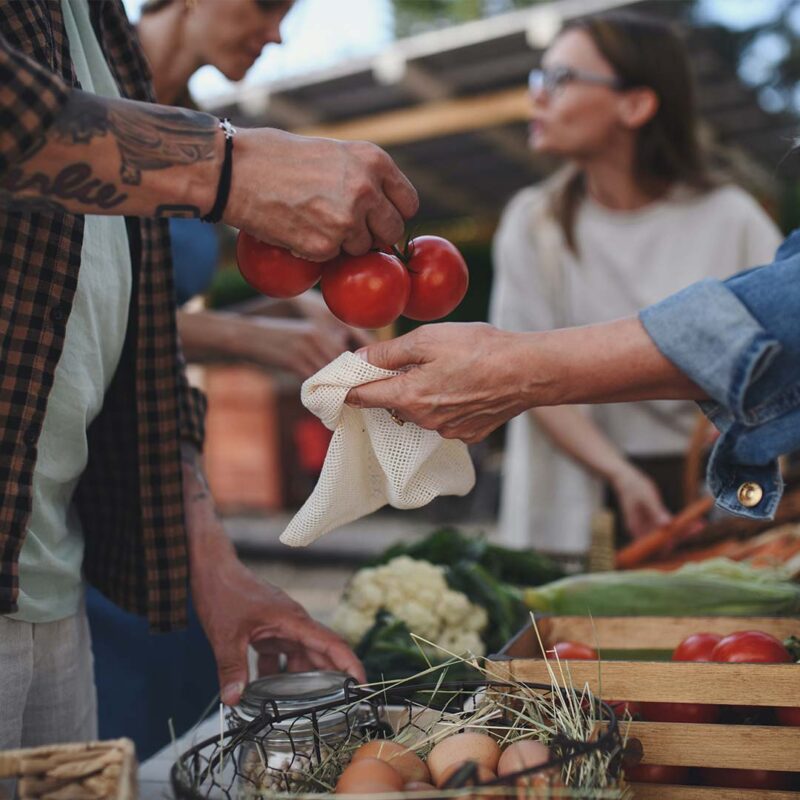 Pourquoi fautil manger bio, local et de saison ? nutriting