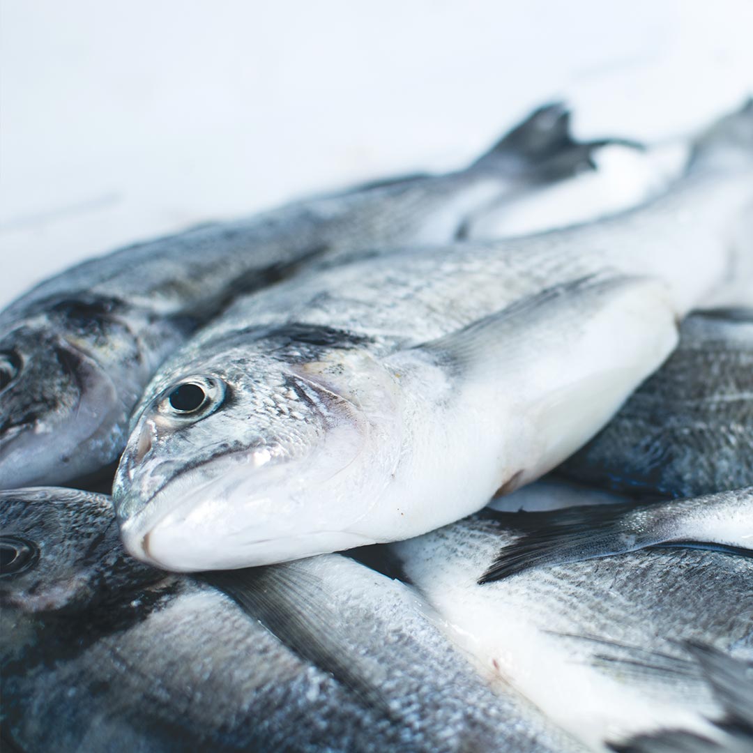 Le poisson est-il bon pour votre santé ?