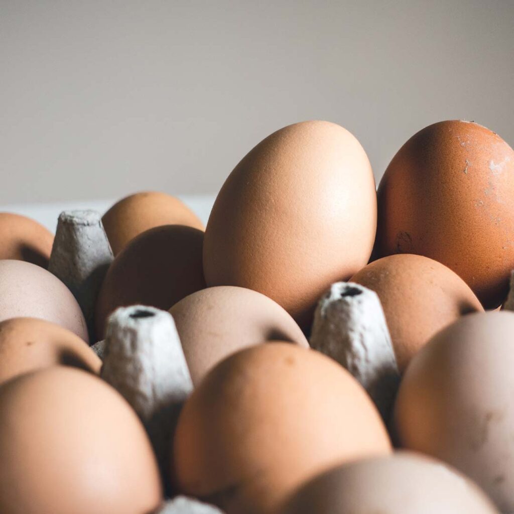 Peut-on améliorer sa santé cardiovasculaire grâce aux œufs ?