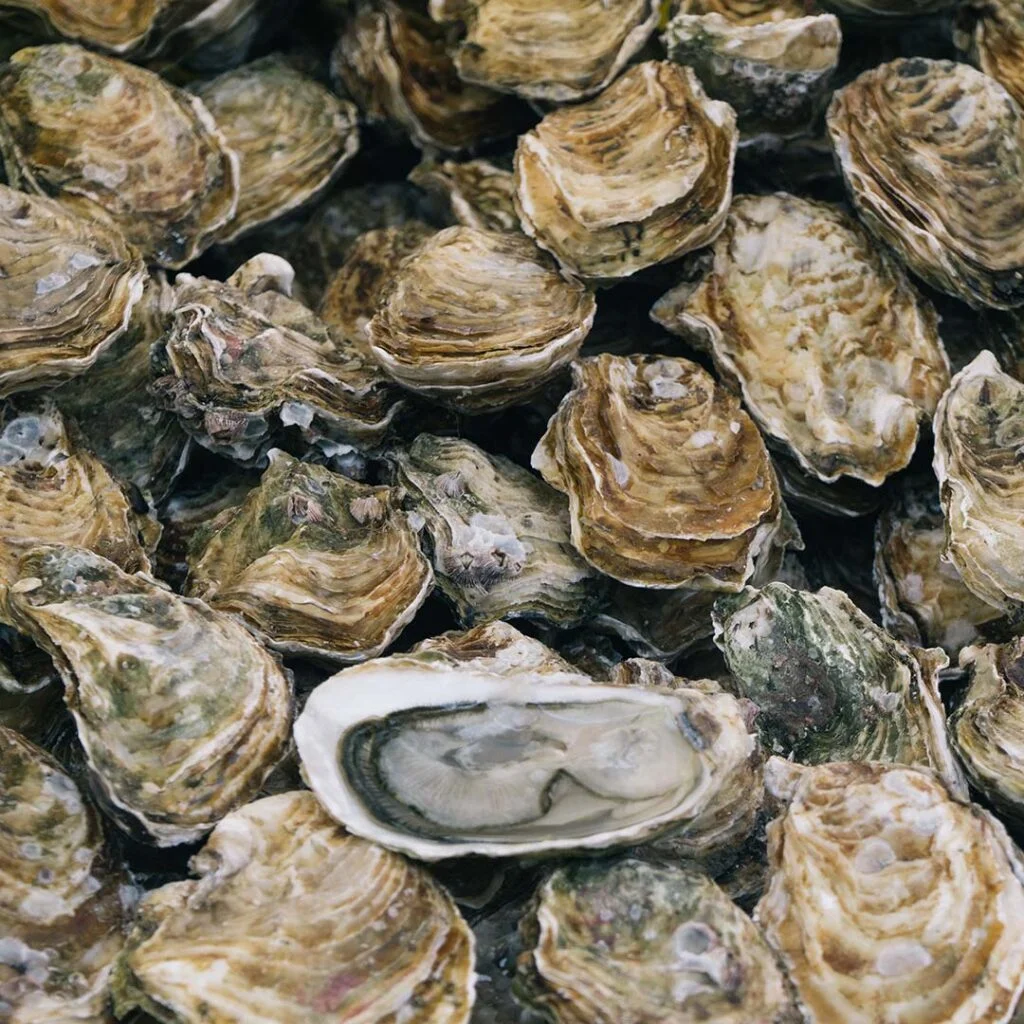 Qu’est-ce qu’un aliment à haute densité nutritionnelle ?