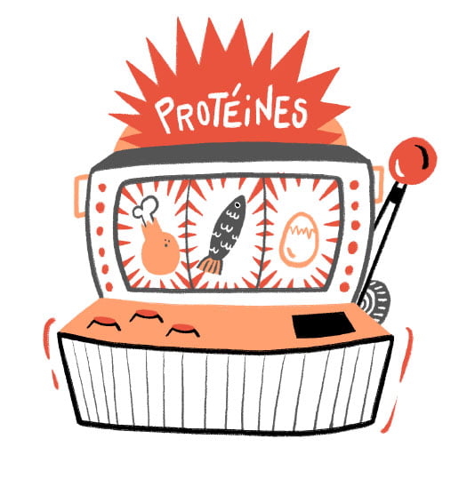 Les protéines : pourquoi faut-il en consommer suffisamment ?