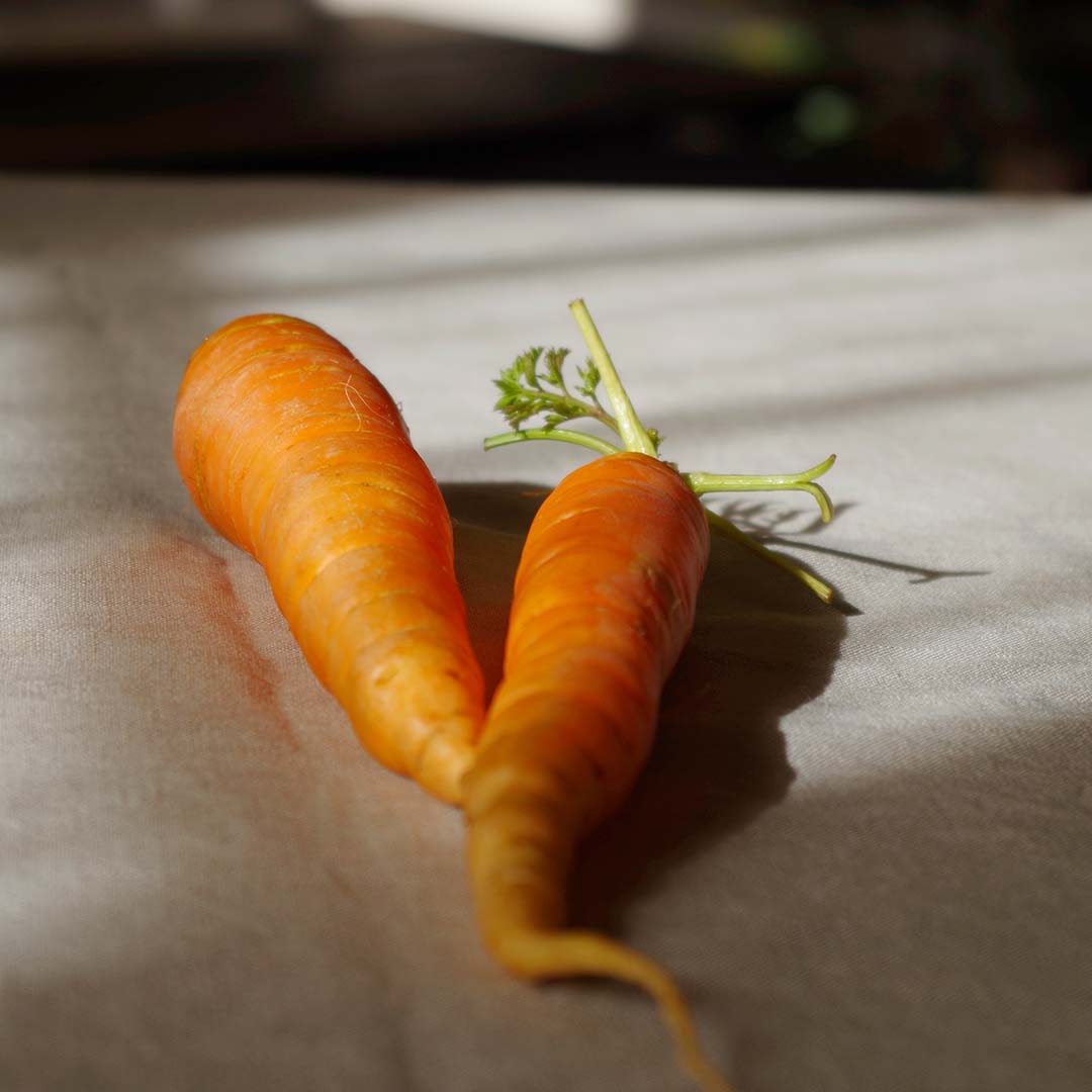 Cinq bienfaits de la carotte pour la peau.