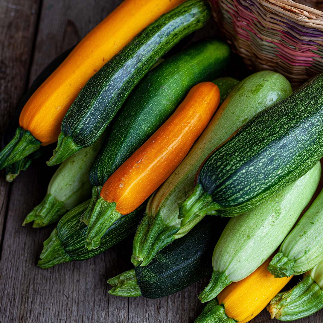 La courgette : bienfaits santé, apports nutritionnels, idées