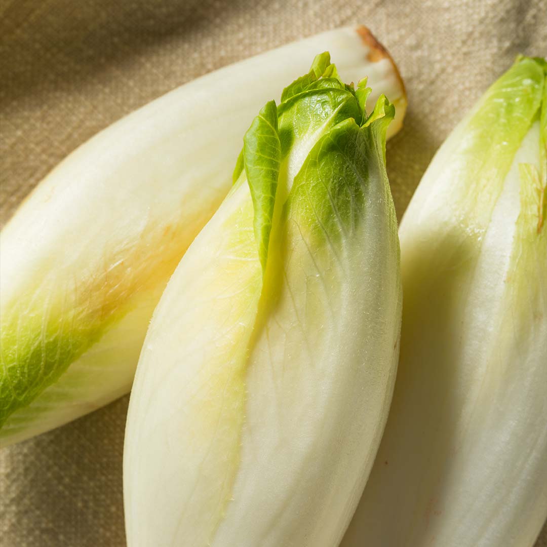 Endive bienfaits