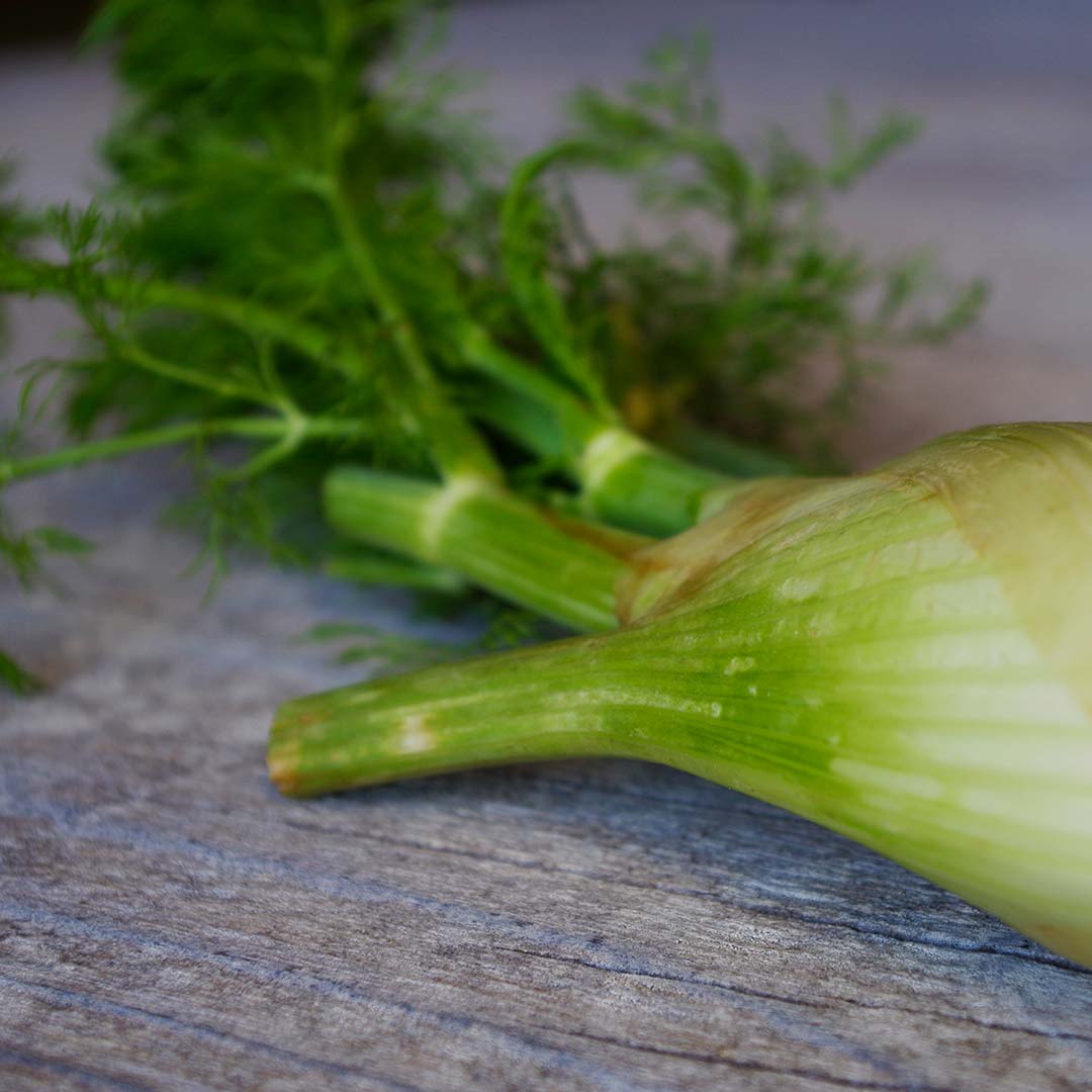 Fenouil : le choisir, le cuisiner, ses propriétés nutritionnelles