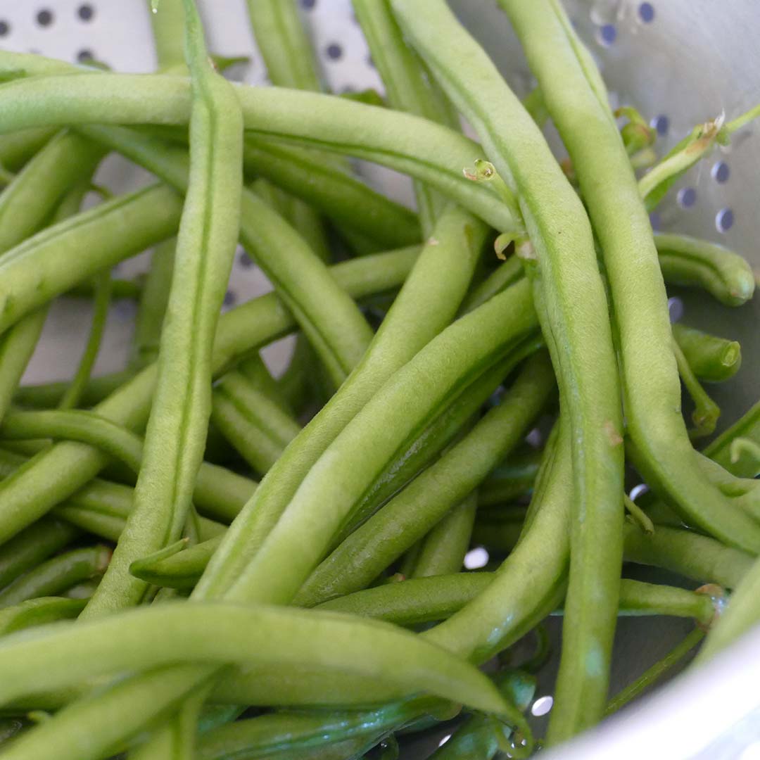 Haricots verts bienfaits