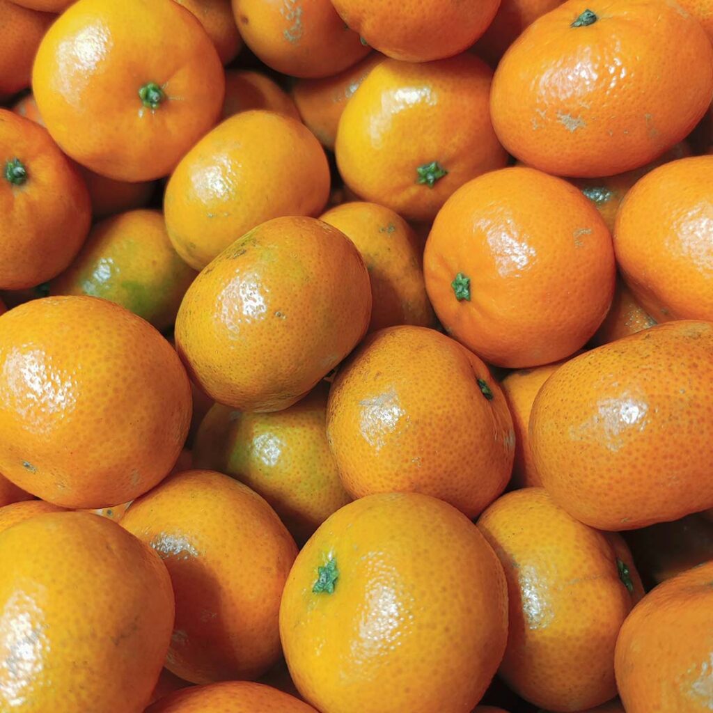 La mandarine, l'ancêtre sucré et parfumé de la clémentine