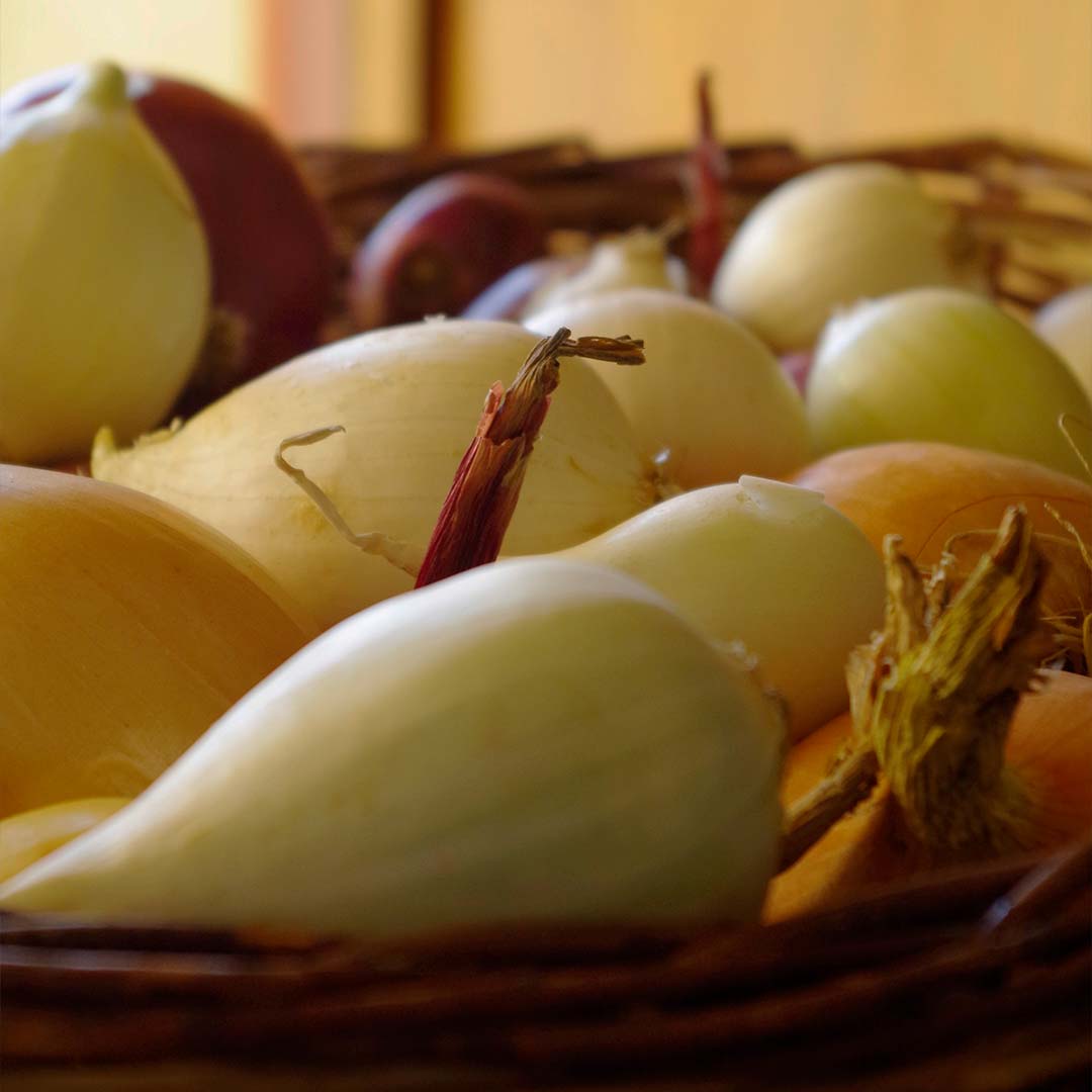 Oignon Rouge - Au Panier des saveurs