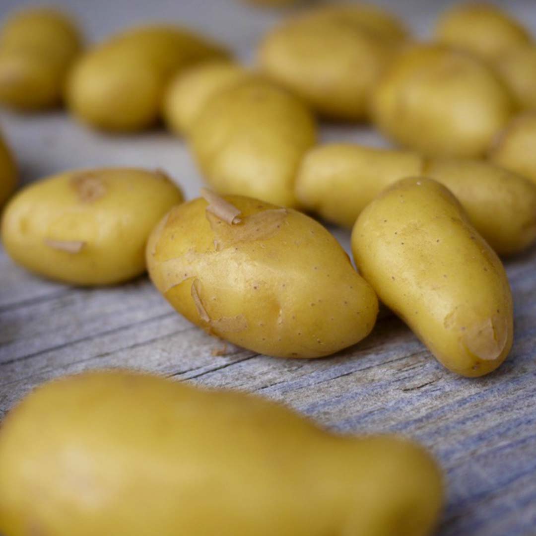 Six raisons pour lesquelles les pommes de terre sont bonnes pour la santé